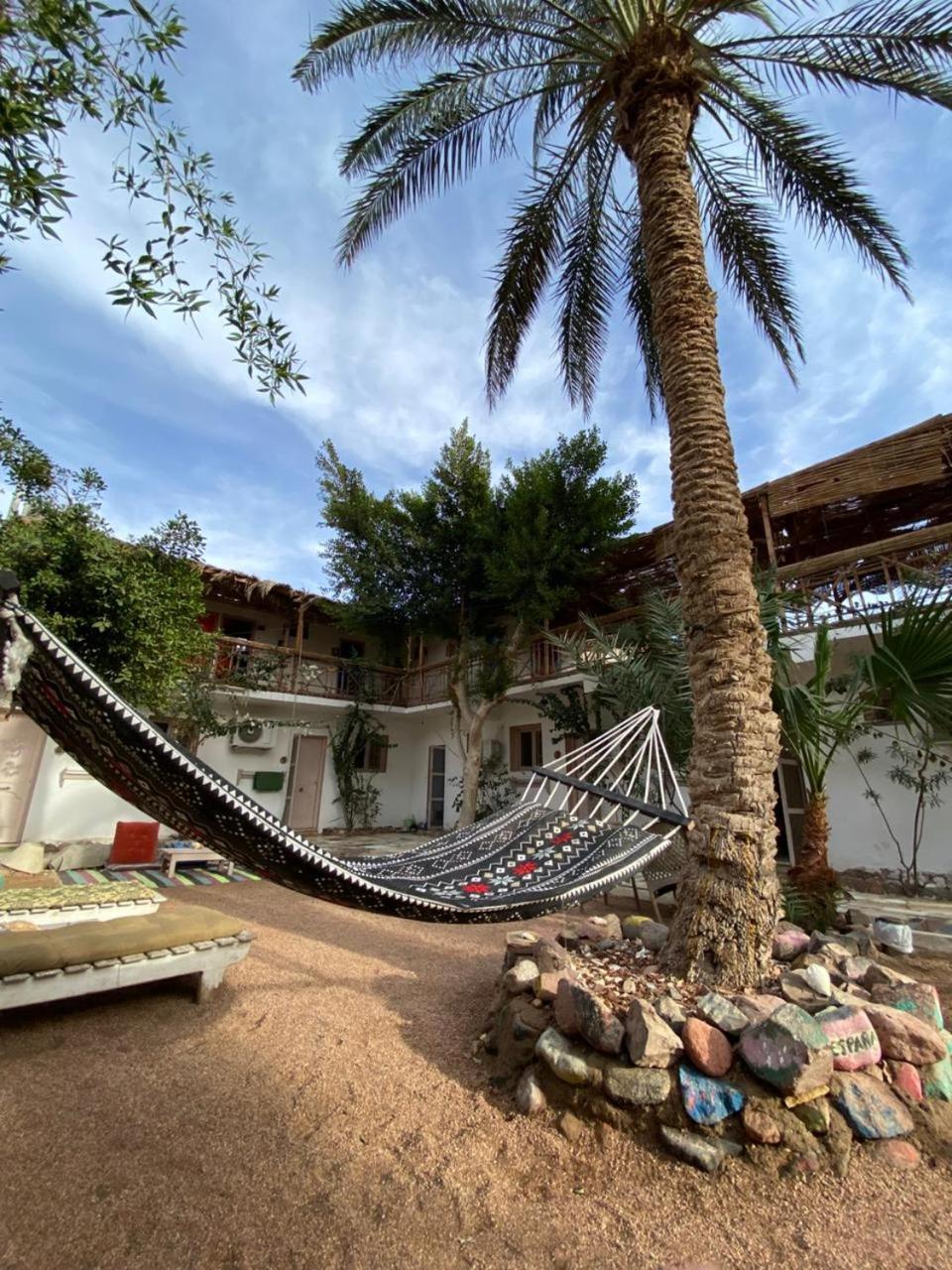 Sunrise Dahab Lodge Room photo